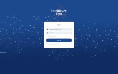The Fastest EHR Login Page EVER?