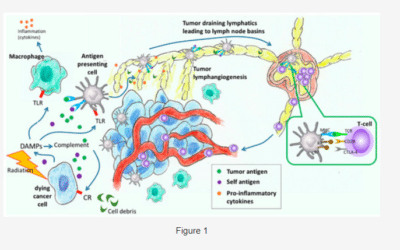 Free Access to a Review Article on the Development & Treatment of Lymphatic Dysfunction in Cancer Patients