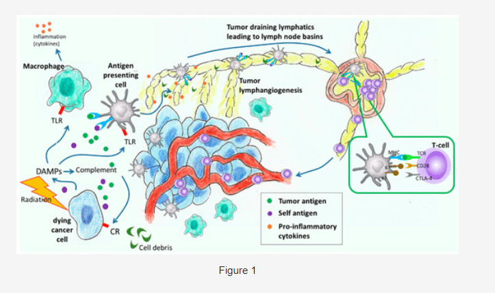 Lymphatic Function in Cancer Patients