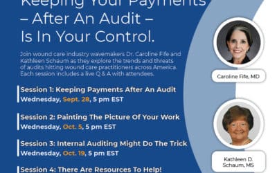 Join Our Integral 4-Part Webinar Series on Audits!